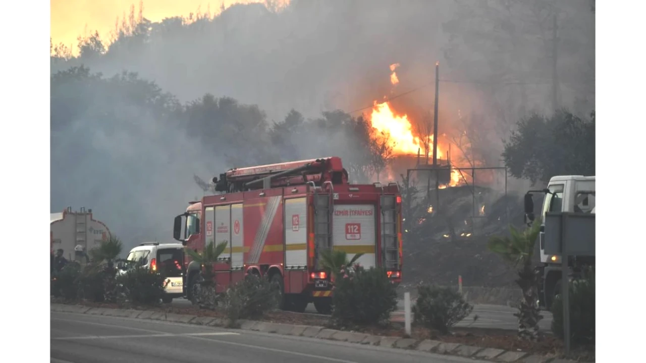 İzmir'de Yangın Alarmı! Dört Bir Yanda Alevler Yükseliyor!