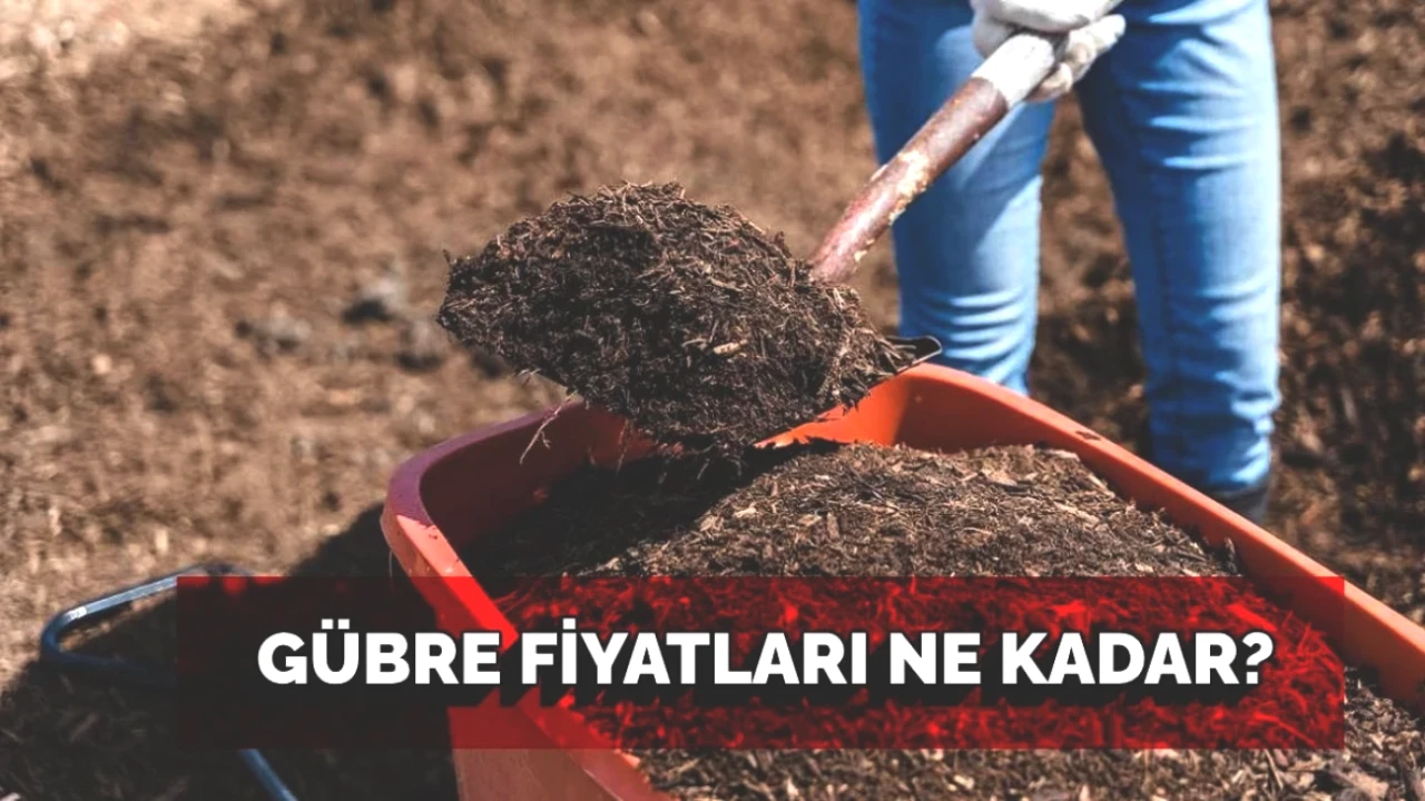 Gübre Fiyatlarında Son Durum: 2025 Temmuz Ayı Güncel Fiyat Listesi!