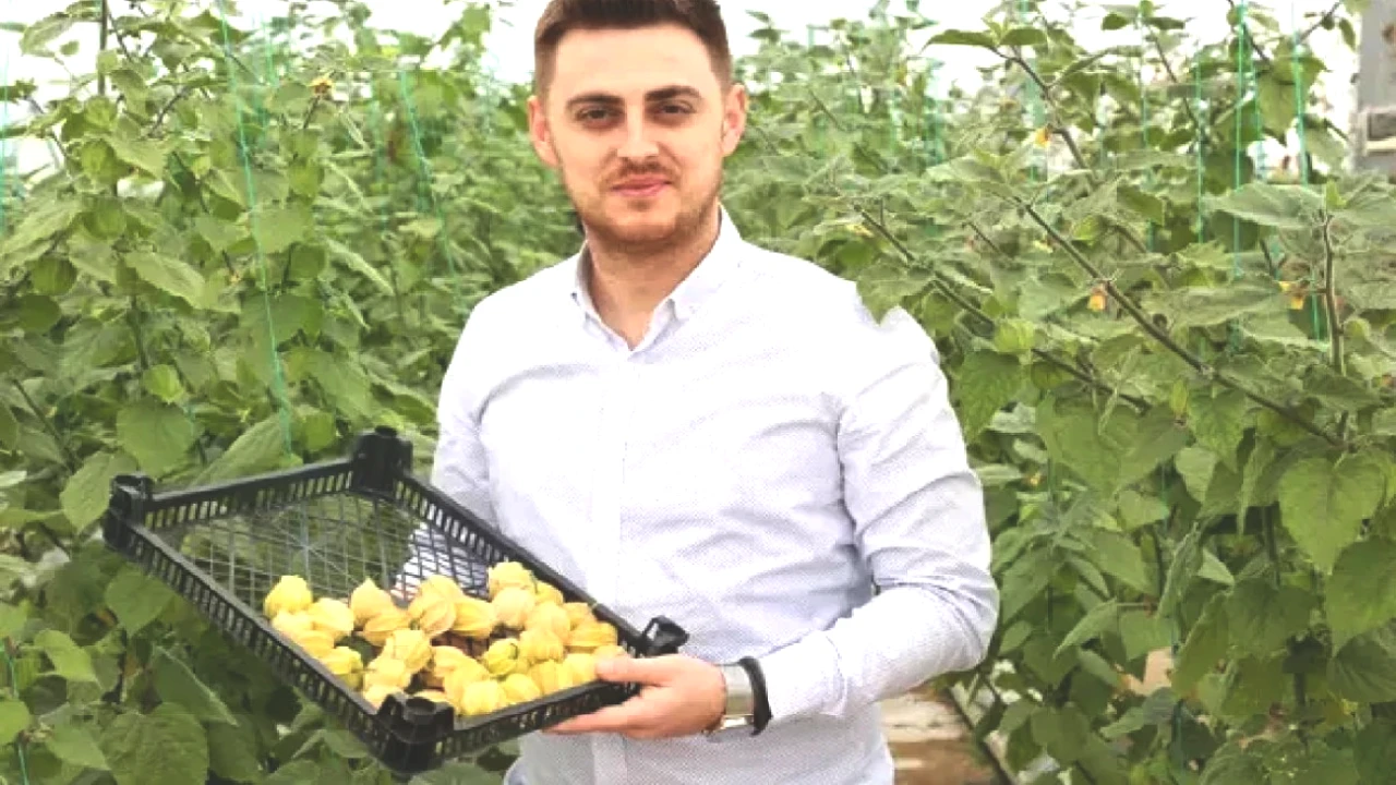 Çiçekler Açtı, Meyvesi İçinde Gizli! Gramı 15 TL, Paketiyle Göz Dolduruyor!