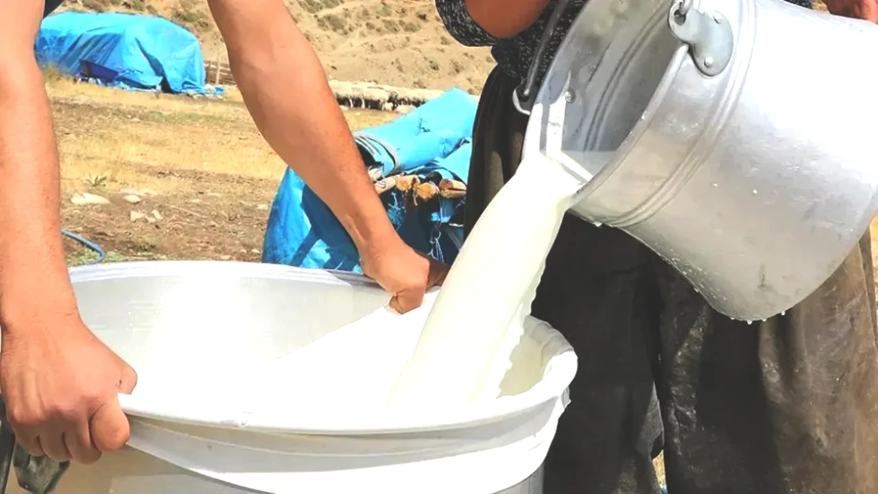 Ulusal Süt Konseyi'nden Çiğ Süt Tavsiye Fiyatında Önemli Güncelleme!