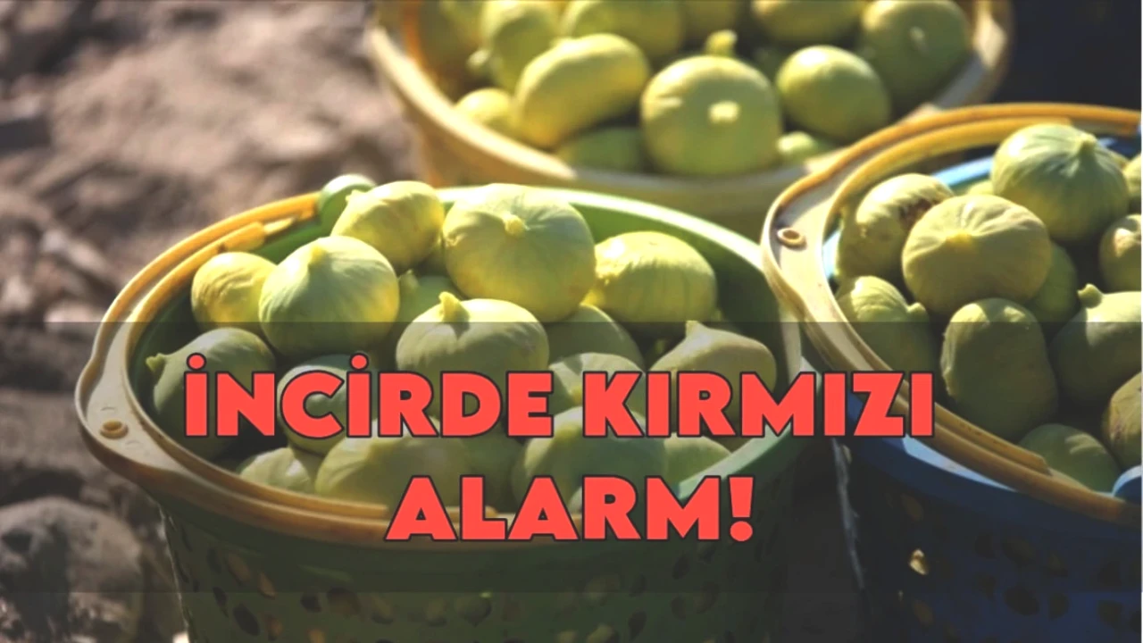 İncirde Kırmızı Alarm! Dünya Devi İki Kat Cezalandırılıyor!